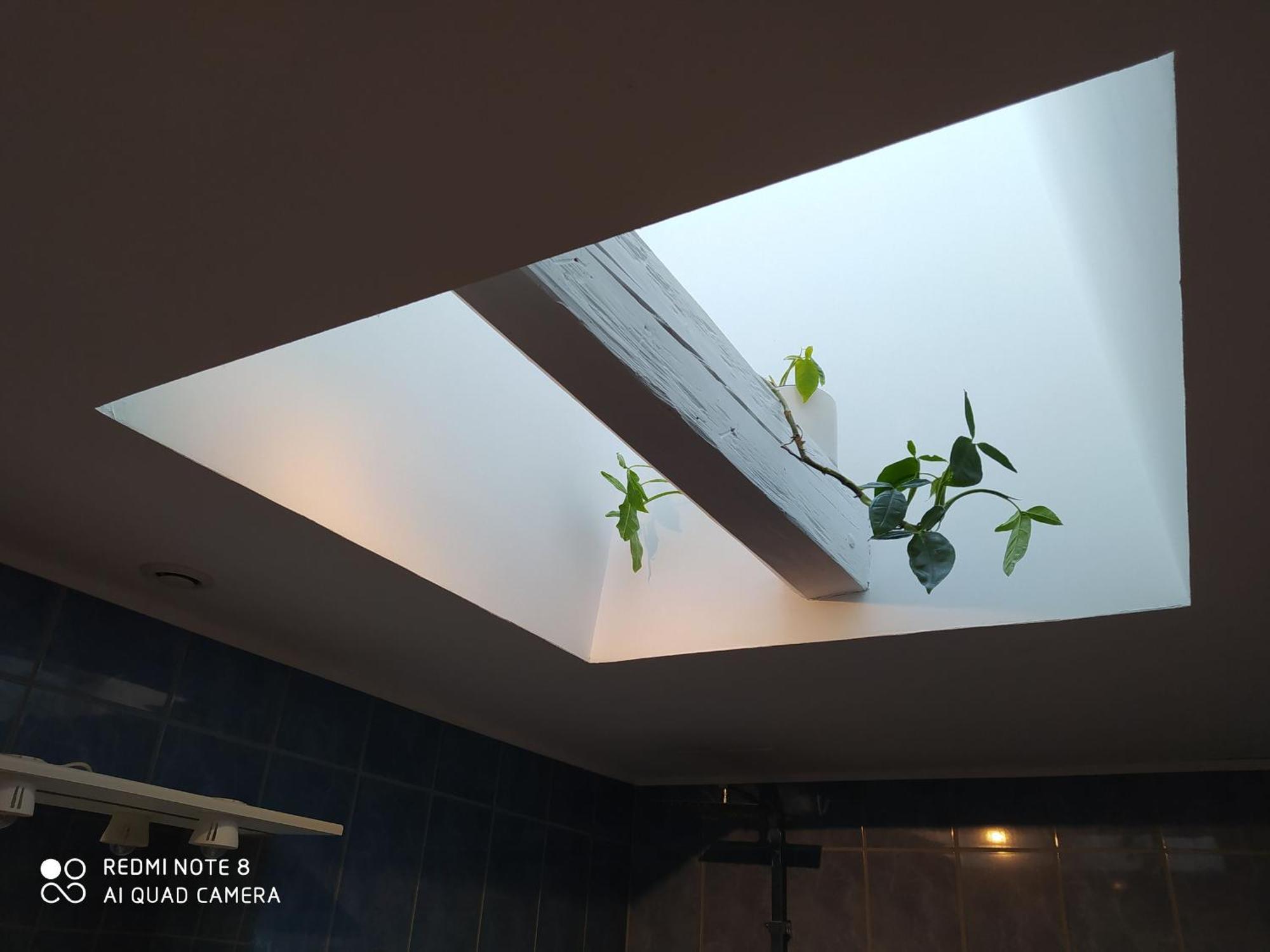 Gite Calme 4 Chambres, Terrasse Privative, Draps Inclus - Germonville - Fr-1-584-167 Buitenkant foto