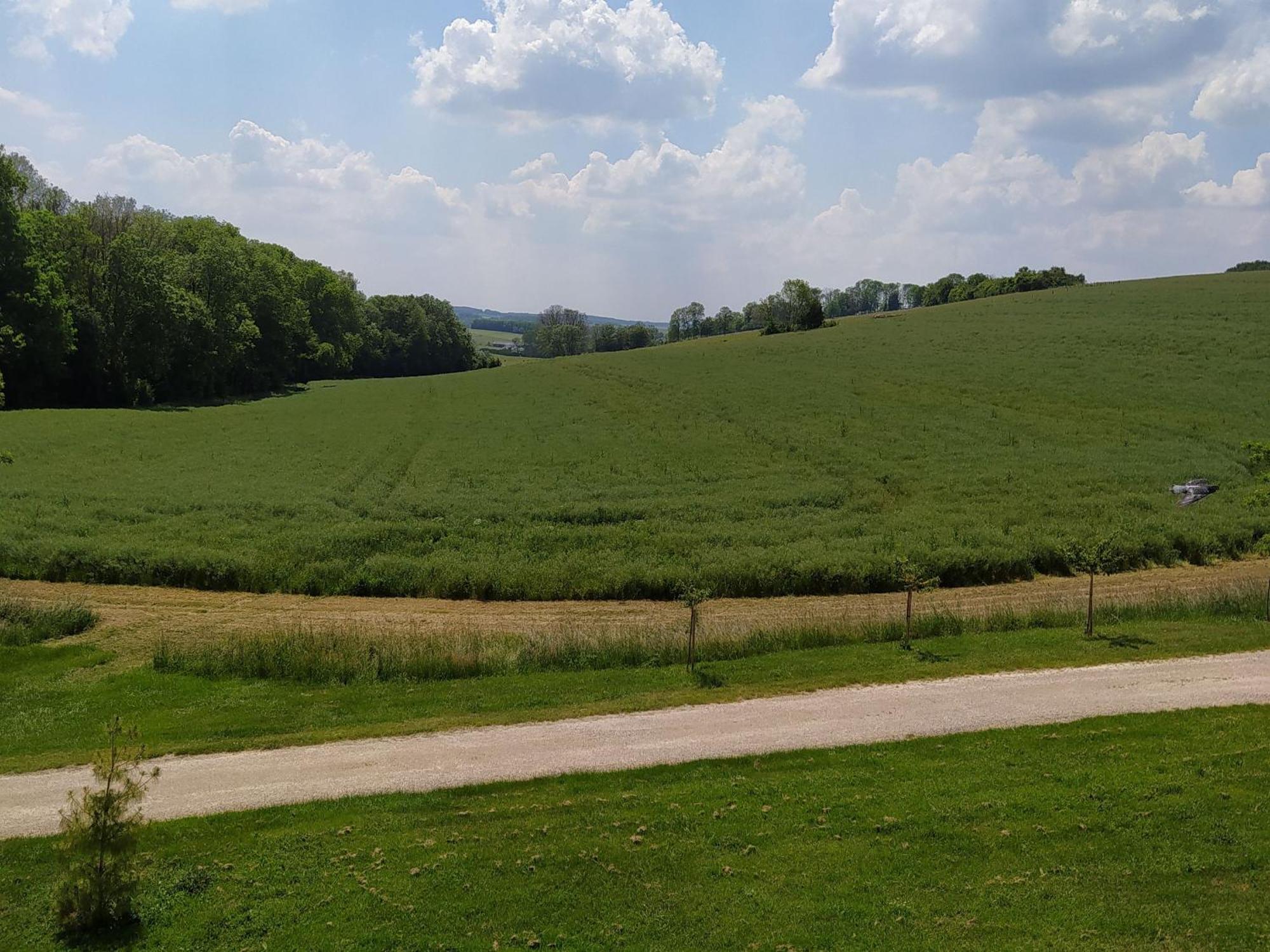 Gite Calme 4 Chambres, Terrasse Privative, Draps Inclus - Germonville - Fr-1-584-167 Buitenkant foto